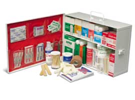 EMPTY 2 SHELF FIRST AID CABINET  WITH LINER